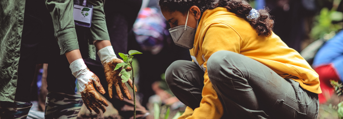 Organised tree planting Girl wearing mask planting a tree